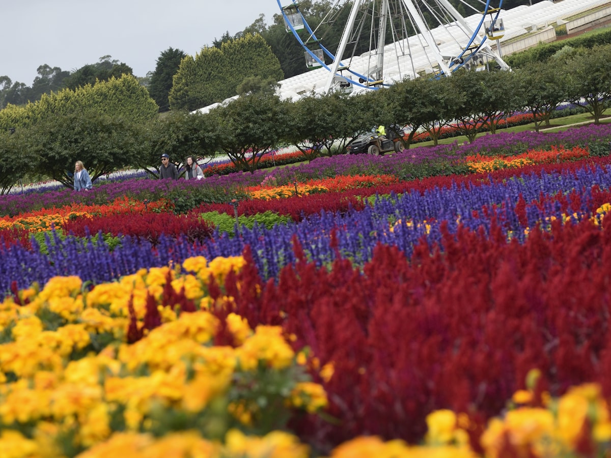 Everland flower garden